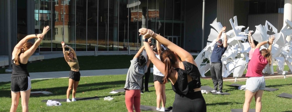 A group of students does Yoga on the lawn